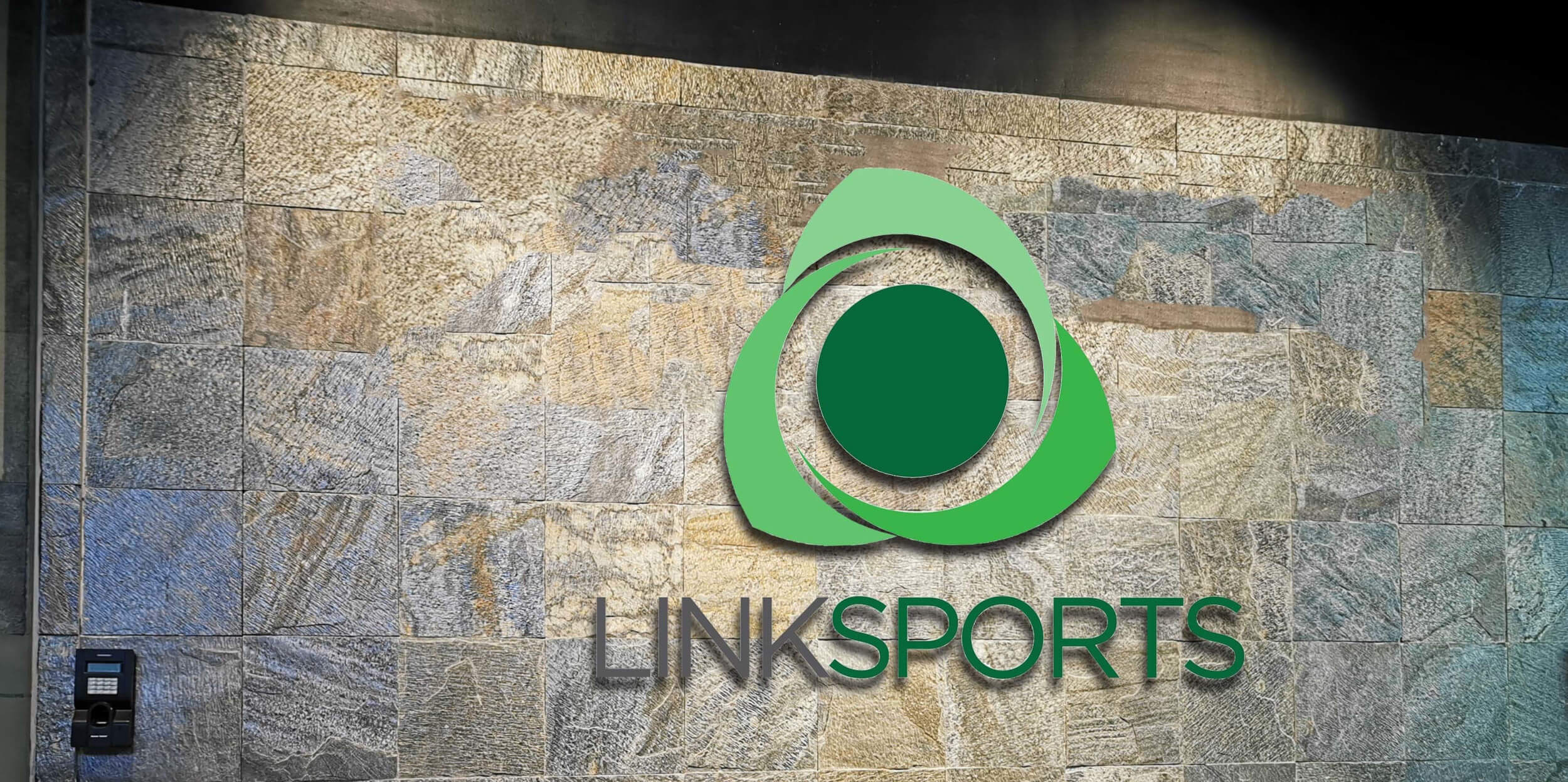 Linksports Inc. About Us